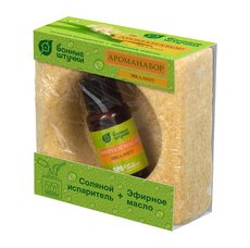 Ароманабор для бани и сауны (соляной испаритель 700г, масло эфирное Эвкалипт 15мл) "БШ" арт. 32483
