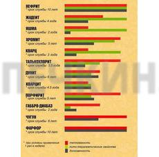 Кирпич талькохлорит 125*250*50 мм